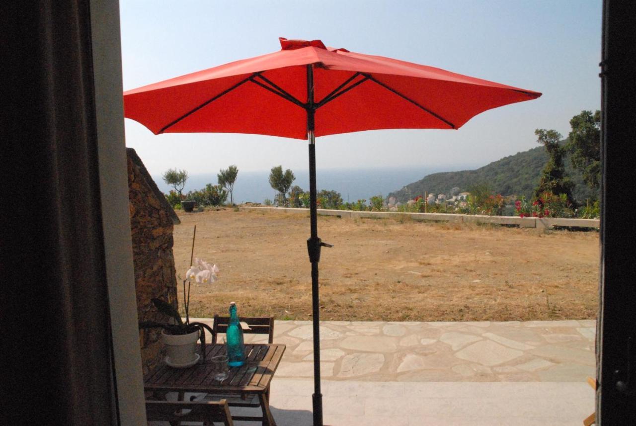 Appartement Vue Sur Mer Santa-Maria-di-Lota 外观 照片