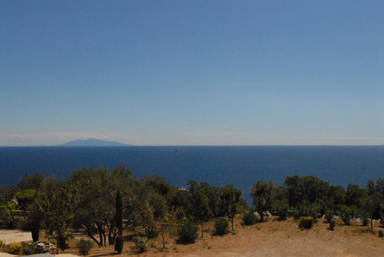 Appartement Vue Sur Mer Santa-Maria-di-Lota 外观 照片