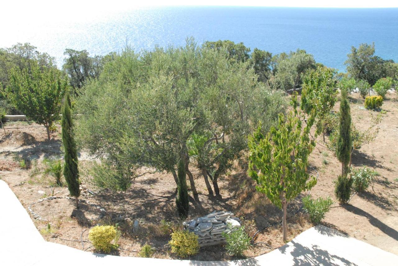 Appartement Vue Sur Mer Santa-Maria-di-Lota 外观 照片
