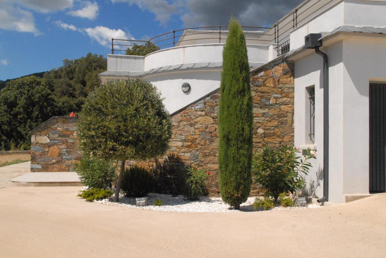 Appartement Vue Sur Mer Santa-Maria-di-Lota 外观 照片