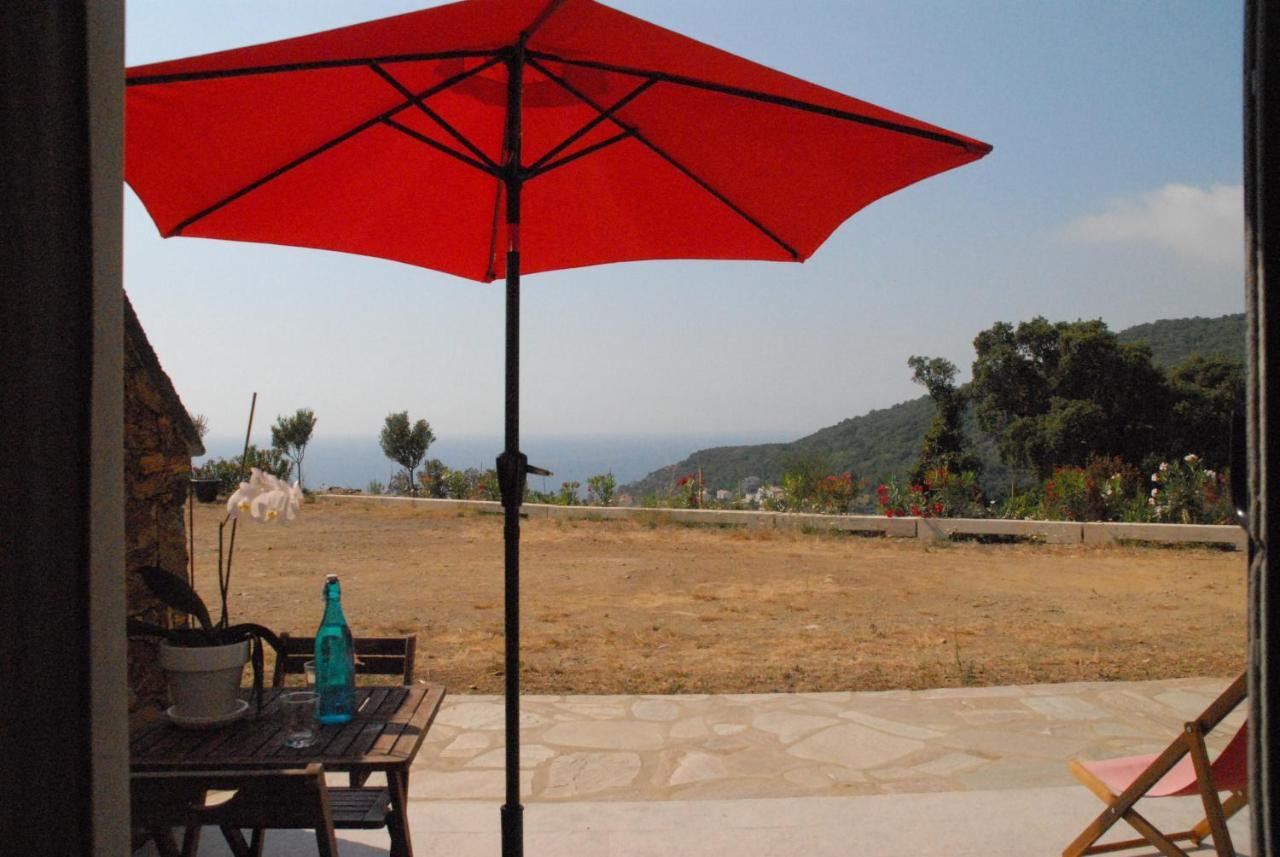 Appartement Vue Sur Mer Santa-Maria-di-Lota 外观 照片