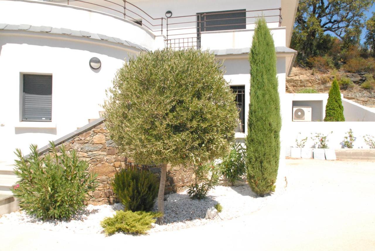 Appartement Vue Sur Mer Santa-Maria-di-Lota 外观 照片