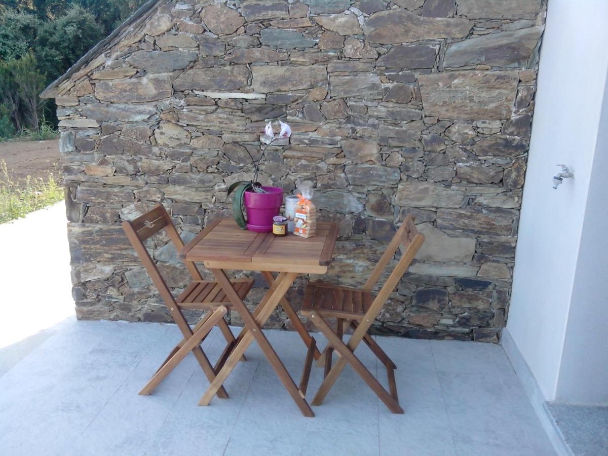 Appartement Vue Sur Mer Santa-Maria-di-Lota 外观 照片