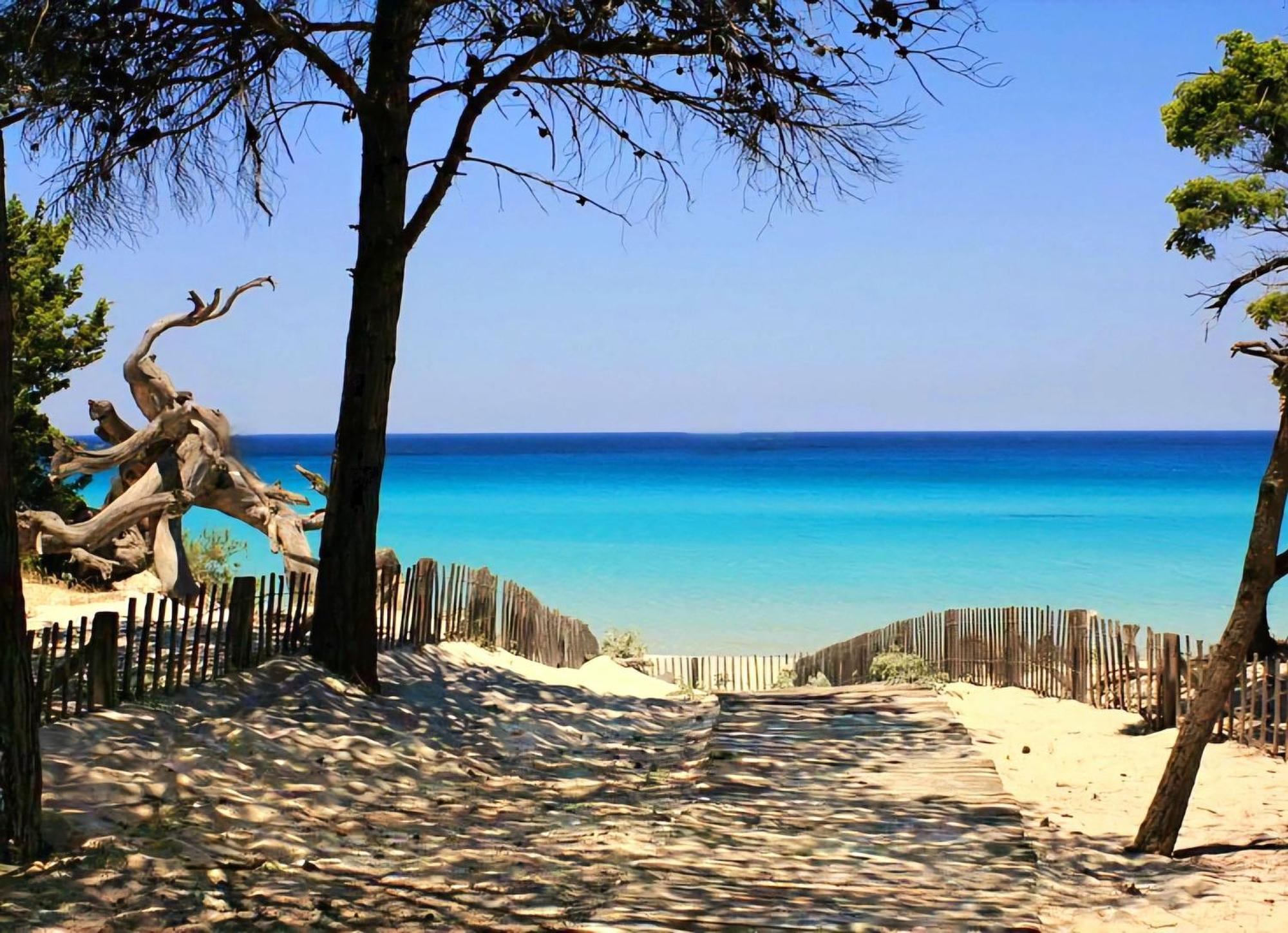 Appartement Vue Sur Mer Santa-Maria-di-Lota 外观 照片