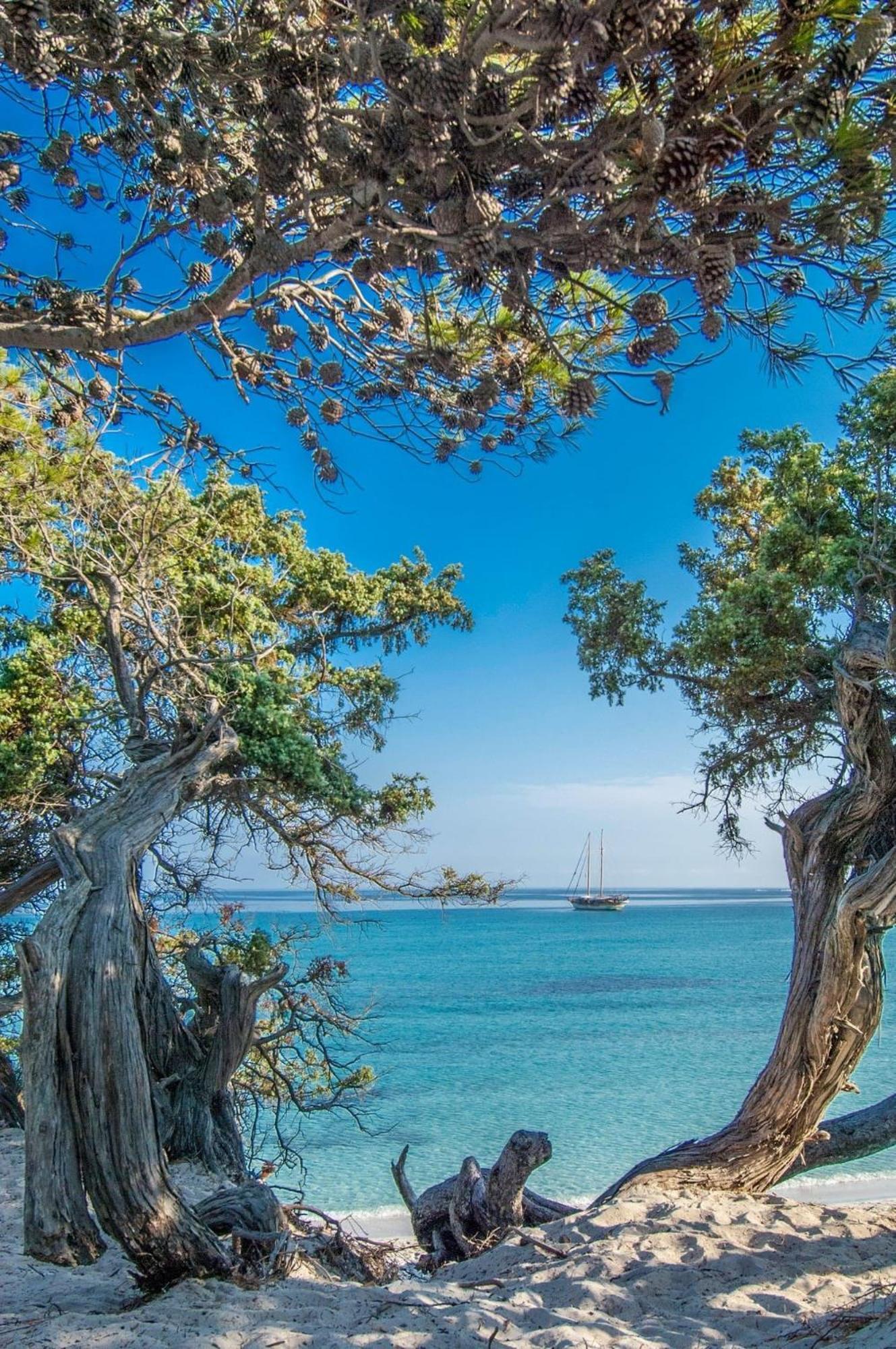Appartement Vue Sur Mer Santa-Maria-di-Lota 外观 照片